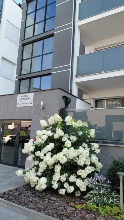Mieszkanie  z tarasem na zamkniętym osiedlu,w cichej,zielonej dzielnicy